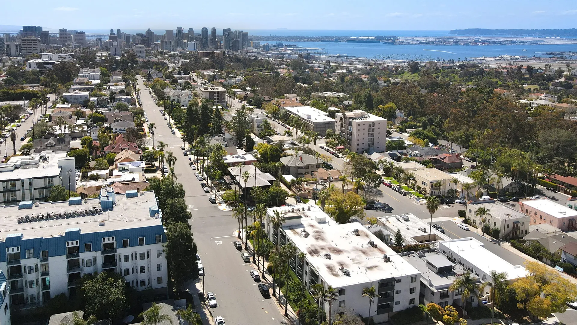 Aerial view of houses California real estate with streets, trees, skyline, and ocean in the background.